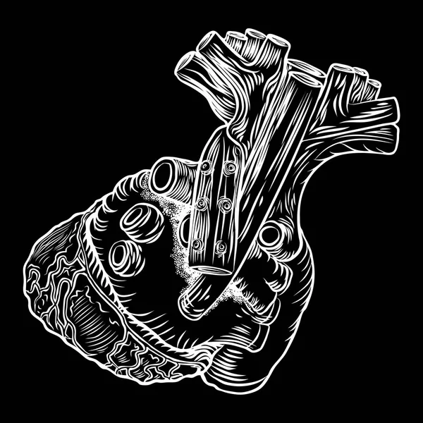 Cuore anatomico disegnato a mano — Vettoriale Stock