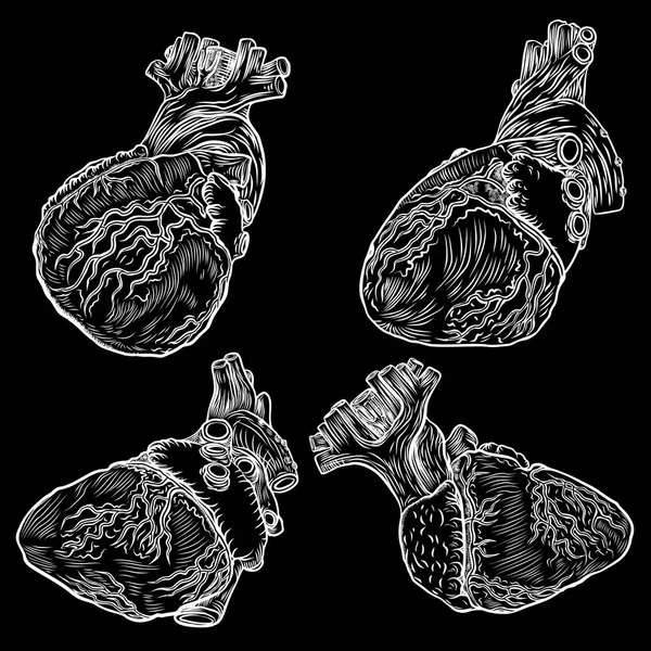 ชุดของหัวใจมนุษย์กายวิภาค . — ภาพเวกเตอร์สต็อก