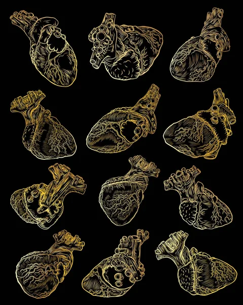 Set van gouden anatomische menselijke harten — Stockvector