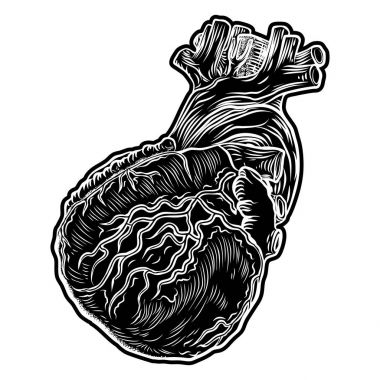 Beyaz ve siyah insan elinde çizilmiş stil kalp. 