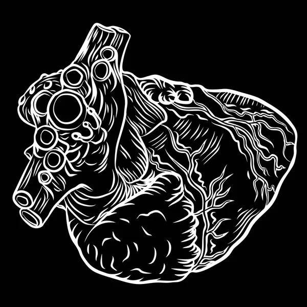 Coração anatômico. Mão desenhado conceito de tatuagem flash — Vetor de Stock