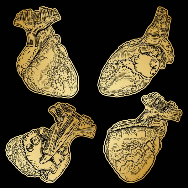 Набір золотих людських сердець в ручному мальованому стилі — стоковий вектор