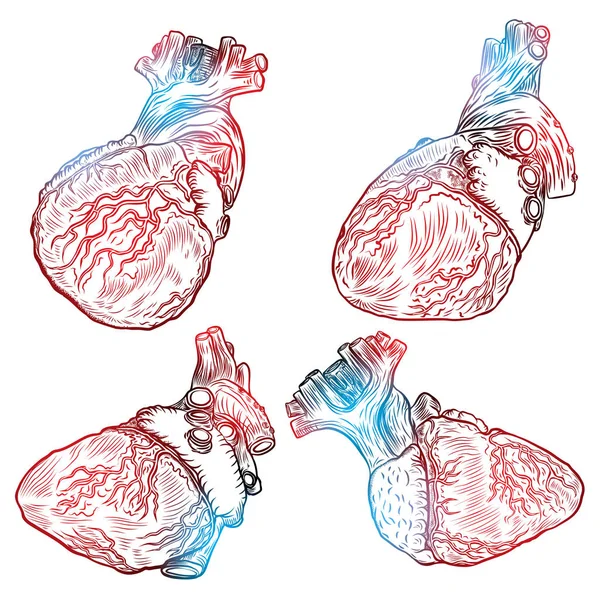 Satz von skizzierten handgezeichneten Linien Kunst dekorative menschliche Herzen — Stockvektor