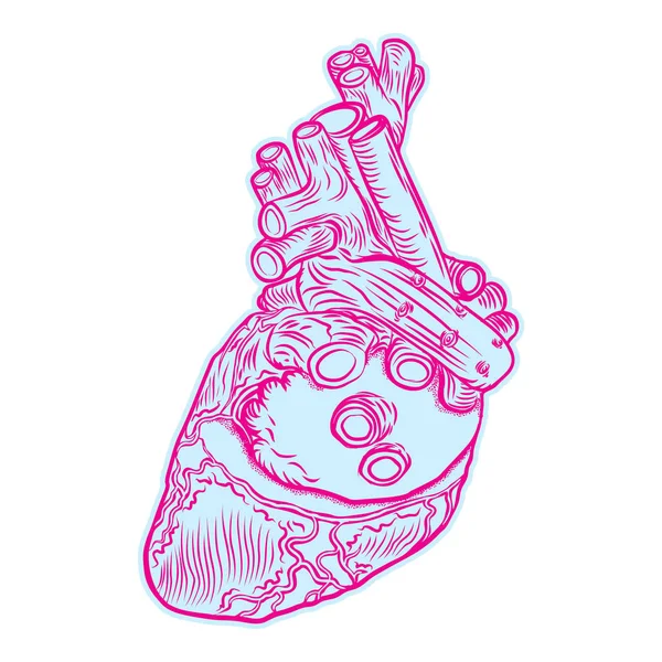 Croquis du cœur humain . — Image vectorielle