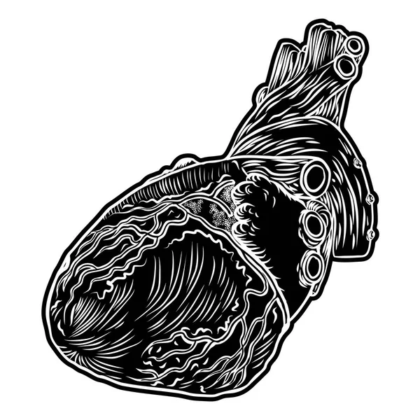 Cuore umano bianco e nero in stile disegnato a mano . — Vettoriale Stock