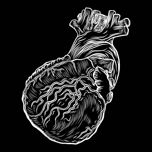 Cuore anatomico. Tatuaggio flash disegnato a mano — Vettoriale Stock