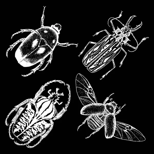 Колекція комах і жучків — стоковий вектор