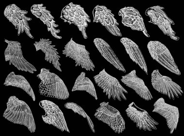 Set of hand drawn wings clipart