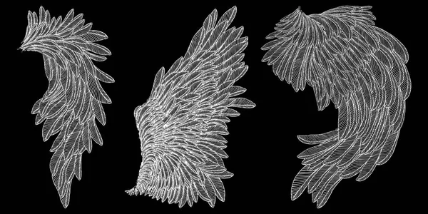 Illustrazione disegnata a mano delle ali degli uccelli . — Vettoriale Stock