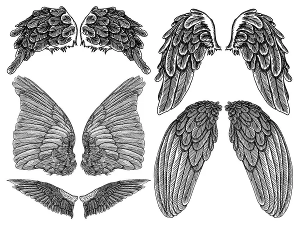 Геральдичні крила, встановлені для татуювання та татуювання . — стоковий вектор