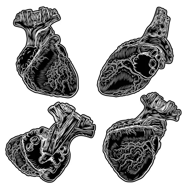 Ensemble de cœurs humains blancs et noirs dans un style dessiné à la main . — Image vectorielle