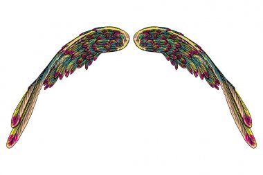 Farklı şekil kutsal renkli kuş kanatları