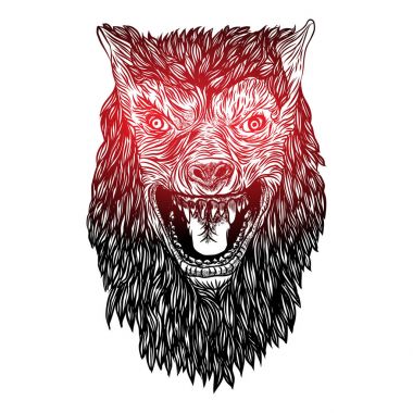 Vahşi kurt kafası. 