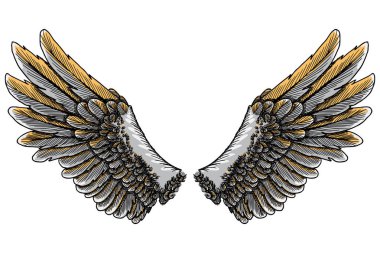 Renkli kuş kanatları 