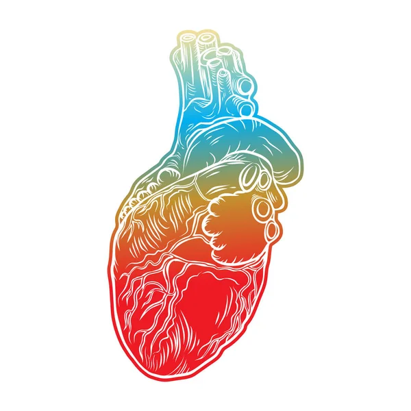 Corazón humano. Tatuaje de carne dibujado a mano — Vector de stock