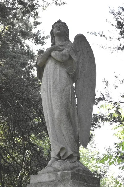 Trauriger Engel auf einem Friedhof — Stockfoto