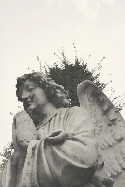Krásná tvář anděla Detailní záběr. — Stock fotografie