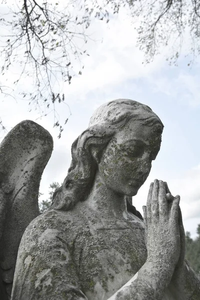 Svatá anděla křesťanství náboženský symbol. — Stock fotografie