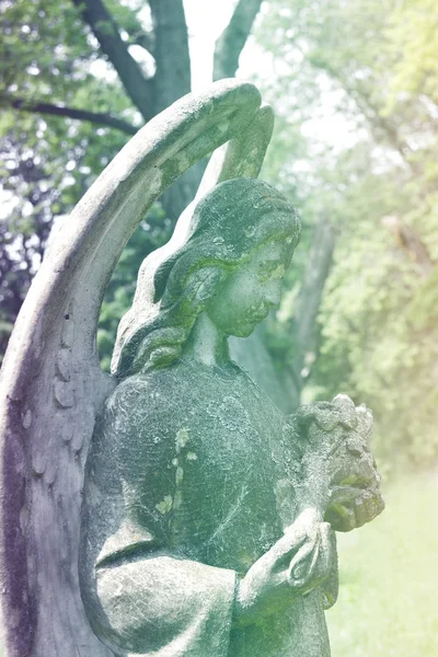 墓地のビンテージ悲しい天使 — ストック写真