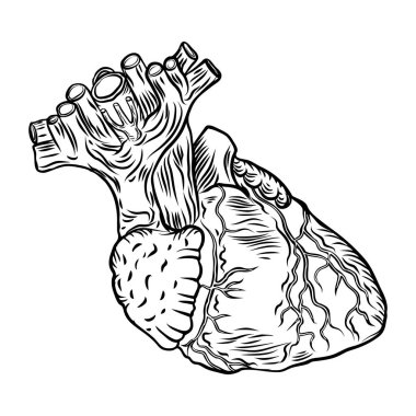 El çekilmiş flash dövme anatomi kalp kavramı.