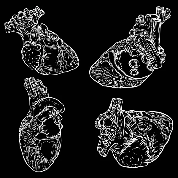 Набор набросков ручной линии искусства декоративных человеческих сердец — стоковый вектор