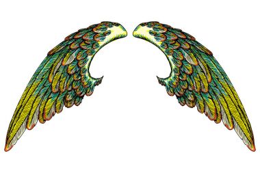 Çift renkli kartal kuş veya melek kanatlarını. 