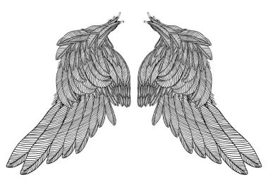 Çift elle çizilmiş vintage kanatlar