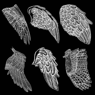 Elle çizilmiş vintage melek ya da kuş kümesi kanatlar. 