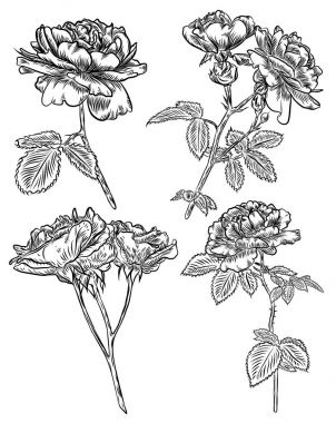 Dövme kavramı çiçek set gül. 