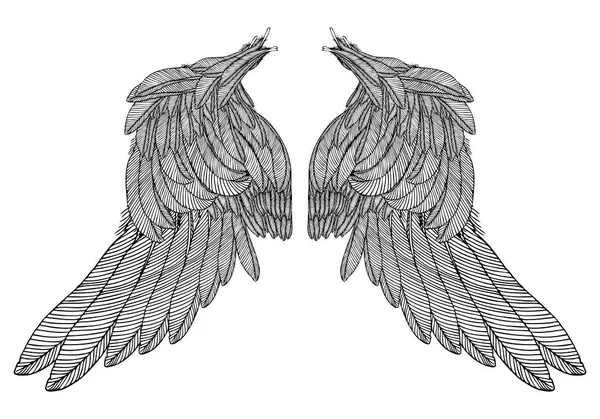 Hand drawn vintage wings pair — Stock Vector