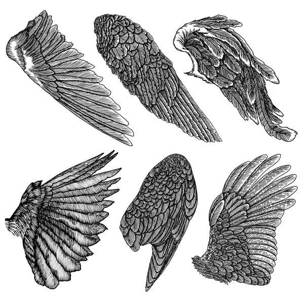 Hand drawn vintage angel or bird wings set. — Stock Vector