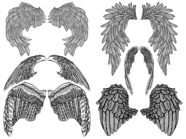 Conjunto par alas . — Archivo Imágenes Vectoriales