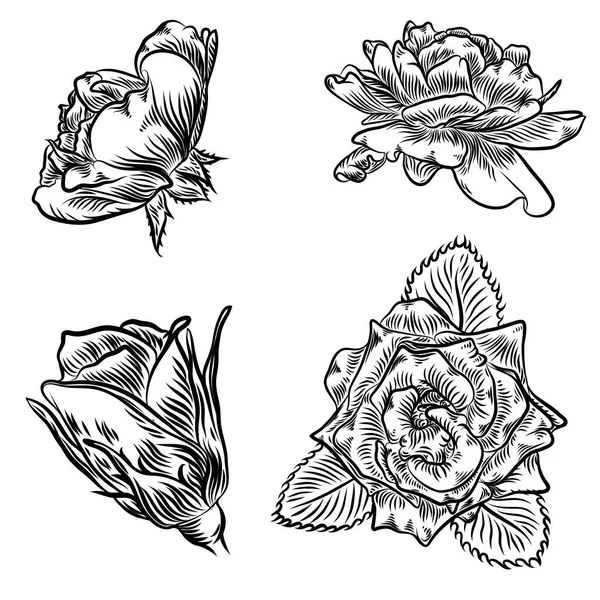 Tetoválás koncepció Rózsa virágok szett. — Stock Vector