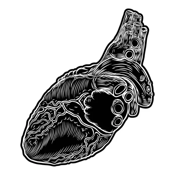 Cuore umano. Tatuaggio di carne disegnato a mano concetto di simbolo del cuore — Vettoriale Stock