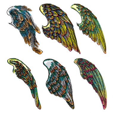 Ve güzel renkli kuş kanatlar