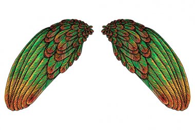 Kutsal renkli kuş kanatları 