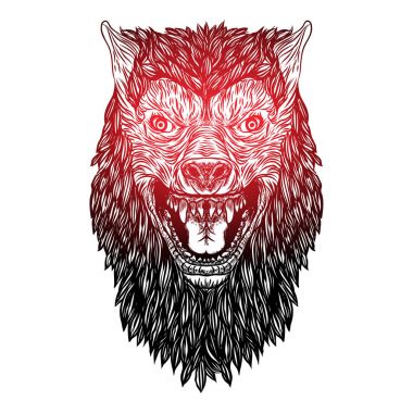 Vahşi kurt kafası. 