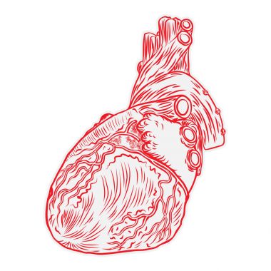 Beyaz bir arka plan üzerinde kalp elle çizilmiş izole.