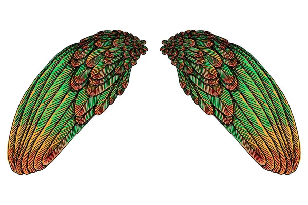 神圣多彩的鸟翼 — 图库矢量图片