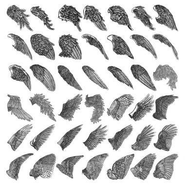 Elle çizilmiş vintage kabartma gravür melek veya kuş kanatları ayrıntılı. 