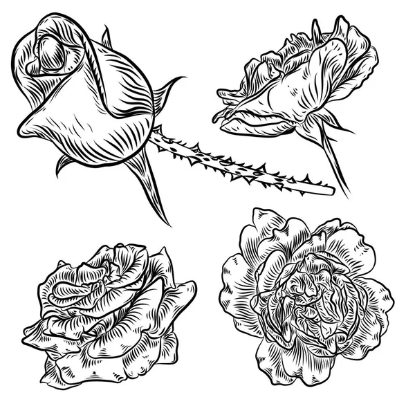 Concepto de tatuaje rosa flores conjunto . — Vector de stock