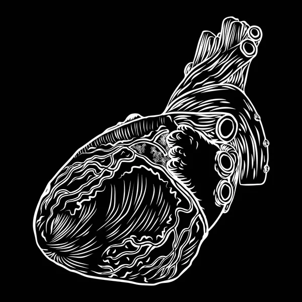 Ręcznie rysowane tattoo flash koncepcja Anatomia serca — Wektor stockowy