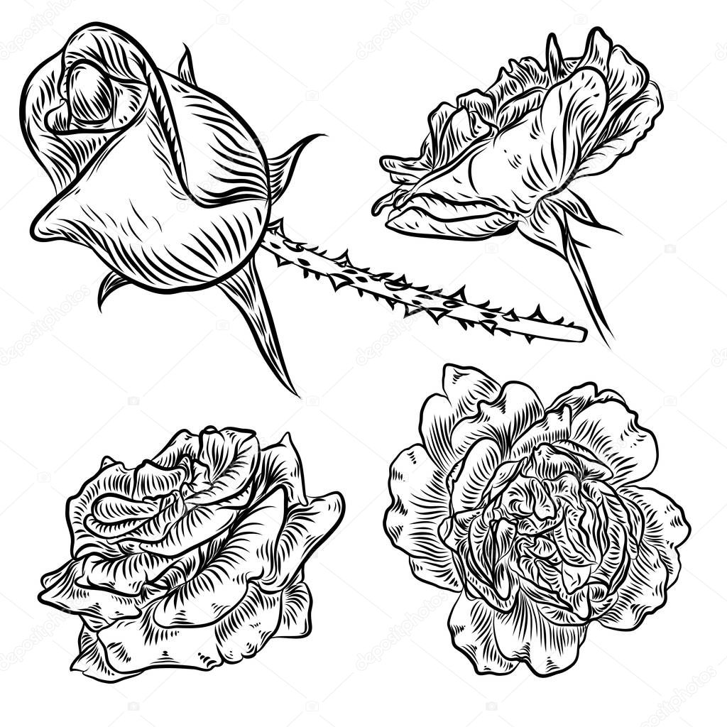 Tattoo concept rose flowers set.