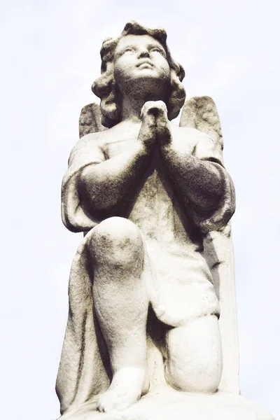 Vista de la estatua de un ángel sobre el fondo oscuro del follaje . — Foto de Stock