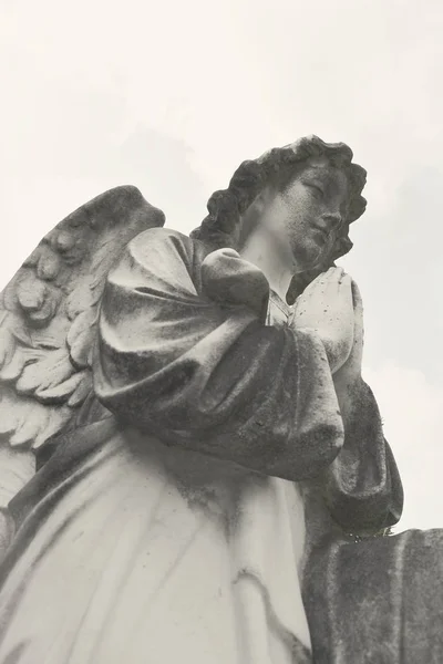 A szobor egy angyal lombozat sötét háttér megtekintése. — Stock Fotó
