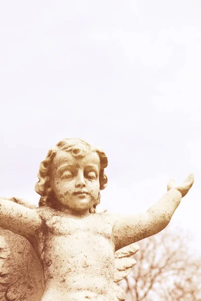 Beautiful angelic winged cherub. — Stock Photo, Image