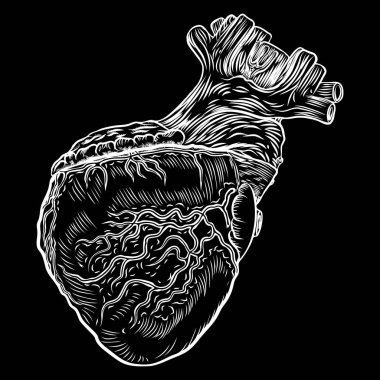 Anatomik kalp. El çekilmiş flash dövme anatomi kalp kavramı