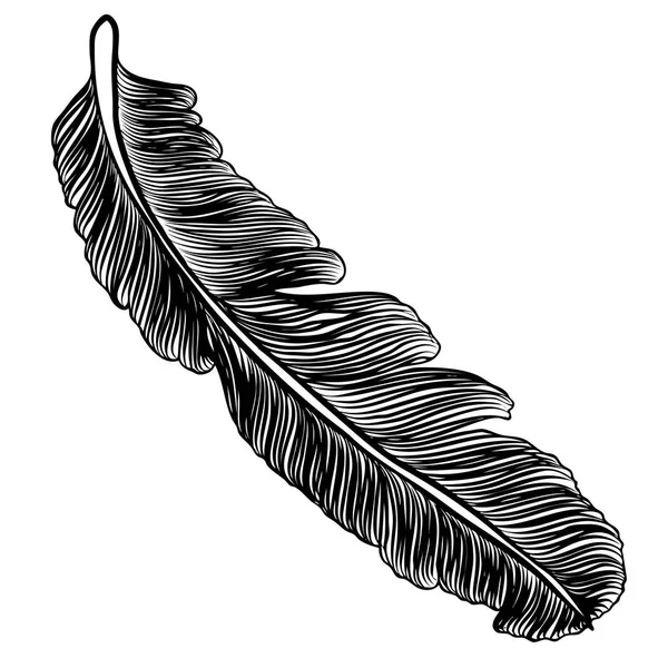 Tribal decorative bird feathers, hand drawn. — Stock Vector