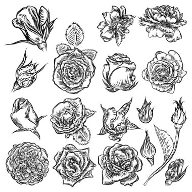 Beyaz zemin üzerine kırmızı gül çizilmiş stili