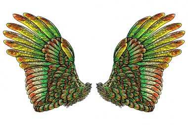 Kutsal melek ya da kuş kanatları. Sembolizm, hafiflik, maneviyat, cennet ve hayal gücü. Özgürlük ve zafer. Gravür vintage tarzı kanatları, hipster dövme veya vintage vücut sanat kavramı.